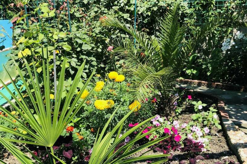 Изображение Изображение гостиницы &quot;Гостевой дом на Мирной&quot; #8 #8