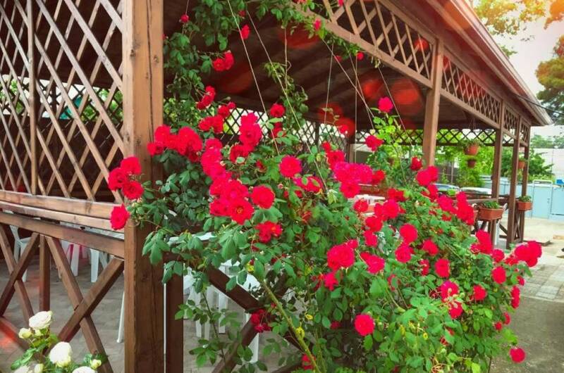 Изображение Изображение отеля / гостиницы "Частный дом на Тельмана" #10 #8