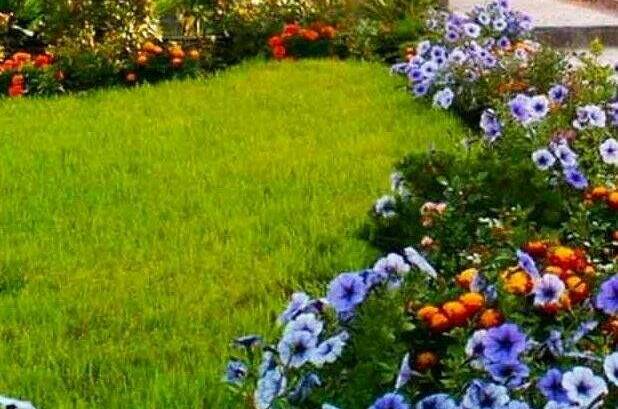 Изображение Изображение гостиницы "Гостевой дом «Море»" #1 #1