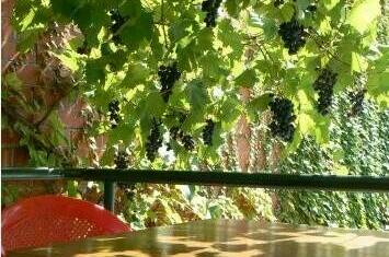 Изображение Изображение гостиницы &quot;Гостевой дом «На Магнитной 6»&quot; #4 #4