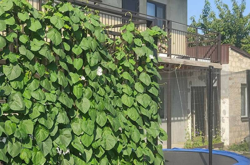 Изображение Изображение гостиницы &quot;Гостевой дом «Семейный отдых»&quot; #1 #1