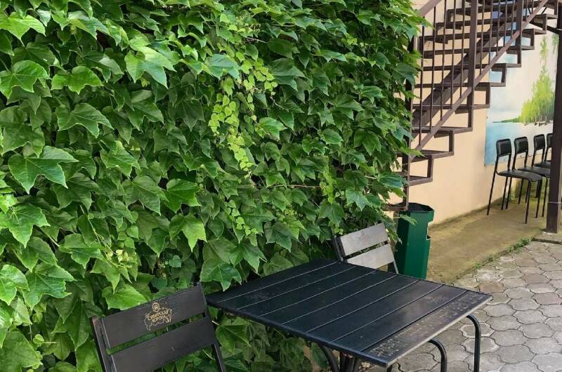 Изображение Изображение гостиницы "Гостевой дом «Морская 15»" #2 #2