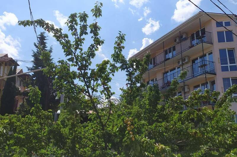 Изображение Изображение гостиницы &quot;Гостиный дом «Добрый Гном»&quot; #8 #8