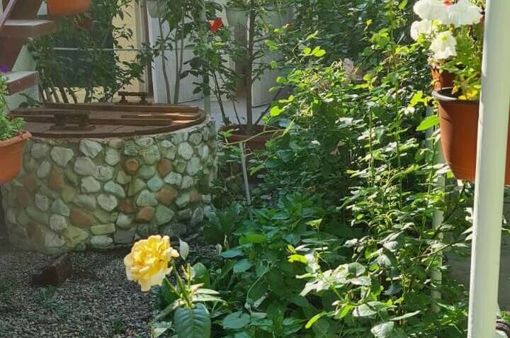 Изображение Изображение гостиницы "Гостевой дом «Марина»" #6 #6