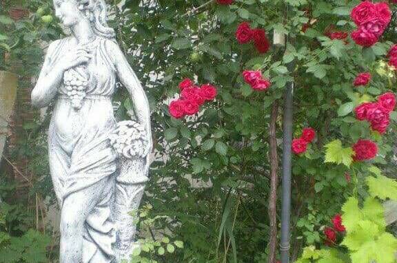 Изображение Изображение гостиницы &quot;Гостевой дом «Виктория»&quot; #2 #2