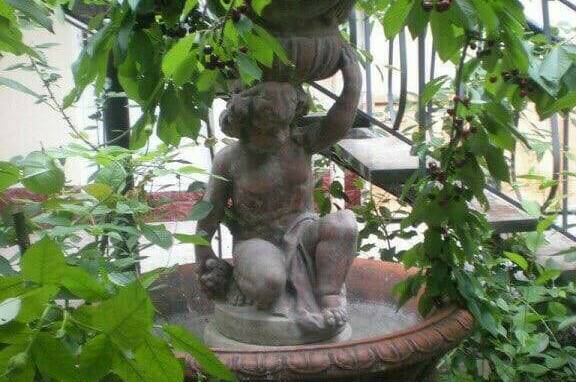 Изображение Изображение гостиницы &quot;Гостевой дом «Виктория»&quot; #5 #5