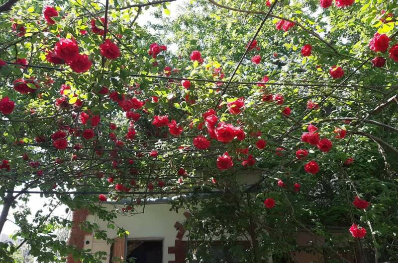 Изображение Изображение гостиницы &quot;Гостевой дом «Виктория»&quot; #6 #6