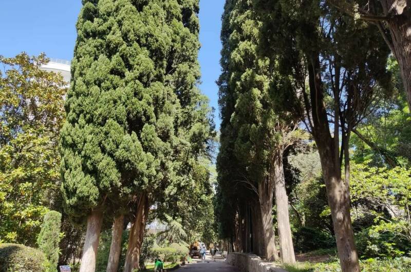 Изображение Изображение отеля / гостиницы "Апартаменты «Люкс» с видом на море и горы" #11 #9