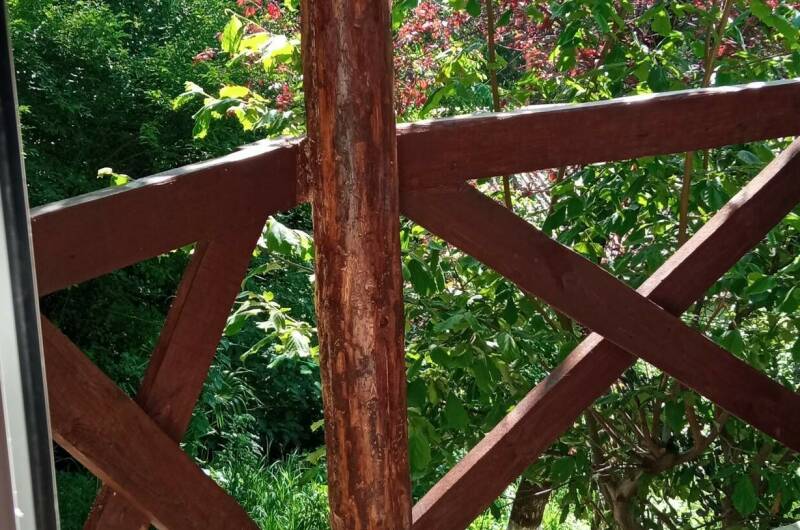 Изображение Изображение квартиры / апартамента "Домик под ключ «В Зелёном саду»" #11 #9