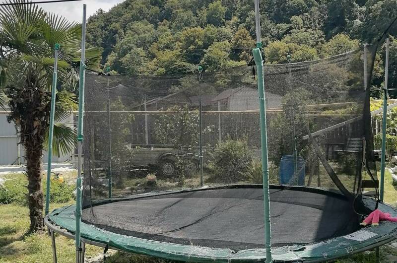 Изображение Изображение гостиницы &quot;Гостевой дом «У Юлии»&quot; #6 #6