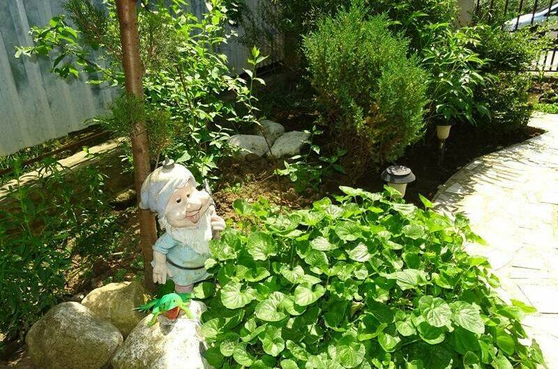 Изображение Изображение гостиницы "Гостевой дом «У Елены»" #7 #7