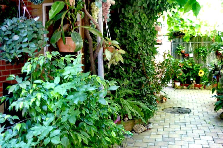 Изображение Изображение отеля / гостиницы "Частное домовладение «Dog Friendly»" #10 #8