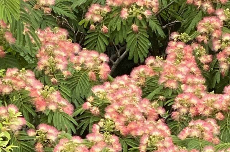 Изображение Изображение квартиры "Квартира с панорамным видом на горы" #7 #7