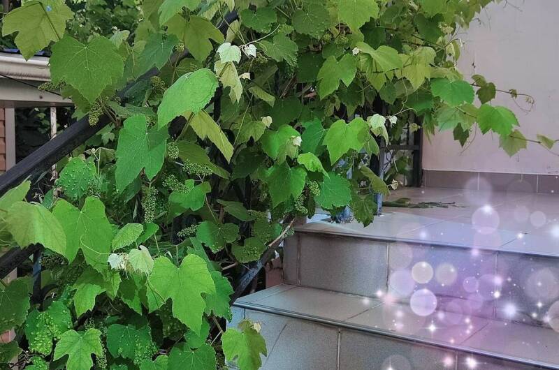 Изображение Изображение гостиницы "Гостевой дом «У Егора»" #1 #1