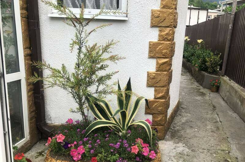 Изображение Изображение гостиницы &quot;Гостевой дом «Анжелина»&quot; #5 #5