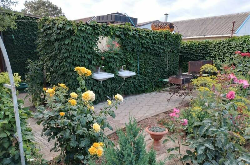 Изображение Изображение гостиницы &quot;Частный сектор «Елена»&quot; #2 #2