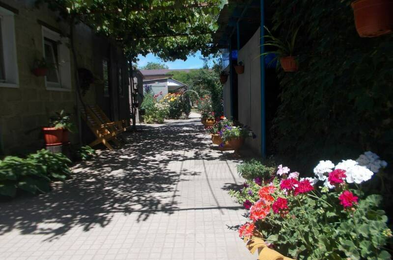 Изображение Изображение гостиницы &quot;Частный сектор «Елена»&quot; #5 #5