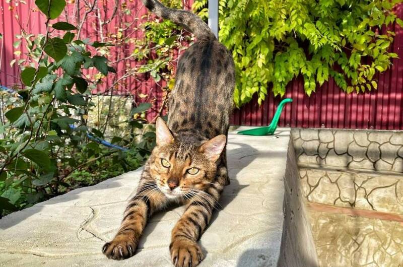 Изображение Изображение гостиницы &quot;Гостевой дом «на Черноморской»&quot; #4 #4