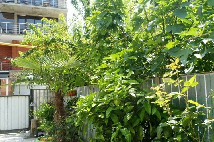 Изображение Изображение гостиницы &quot;Гостевой дом «У Валентины»&quot; #4 #4