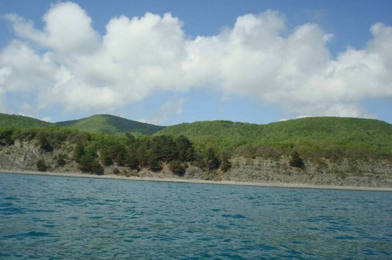 Изображение Изображение гостиницы &quot;Гостевой дом «Акация»&quot; #6 #6