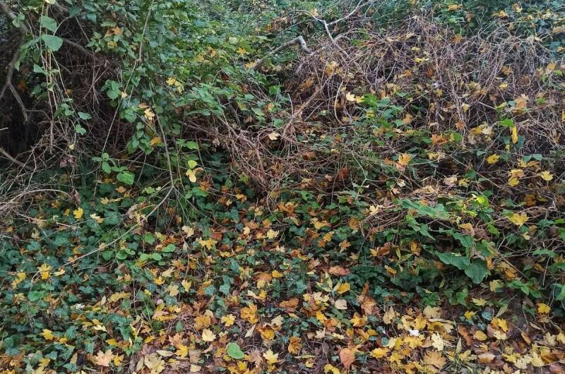 Изображение Изображение квартиры "Апартаменты «Дом солнца»" #2 #2