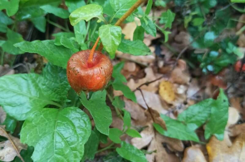 Изображение Изображение квартиры "Апартаменты «Дом солнца»" #7 #7