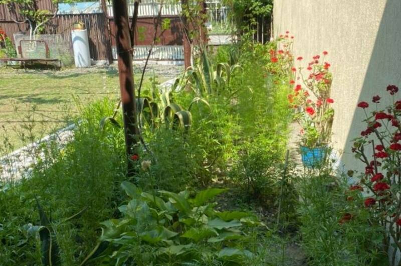 Изображение Изображение гостиницы "Гостевой дом «У Фариды»" #4 #4