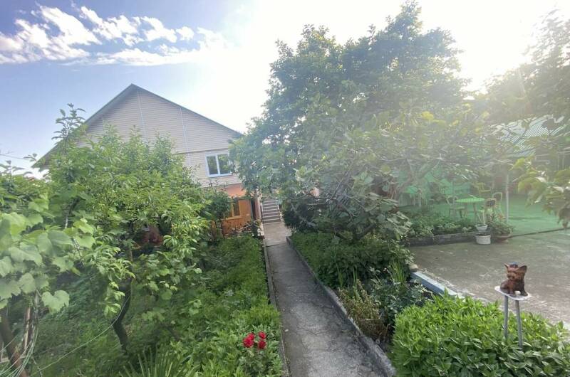 Изображение Изображение гостиницы "Гостевой дом «Дельфинчик»" #1 #1