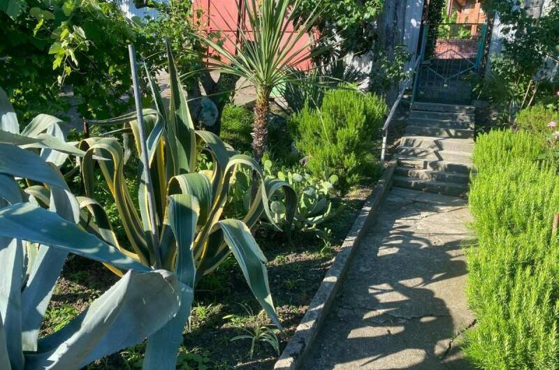 Изображение Изображение гостиницы "Гостевой дом «Дельфинчик»" #7 #7