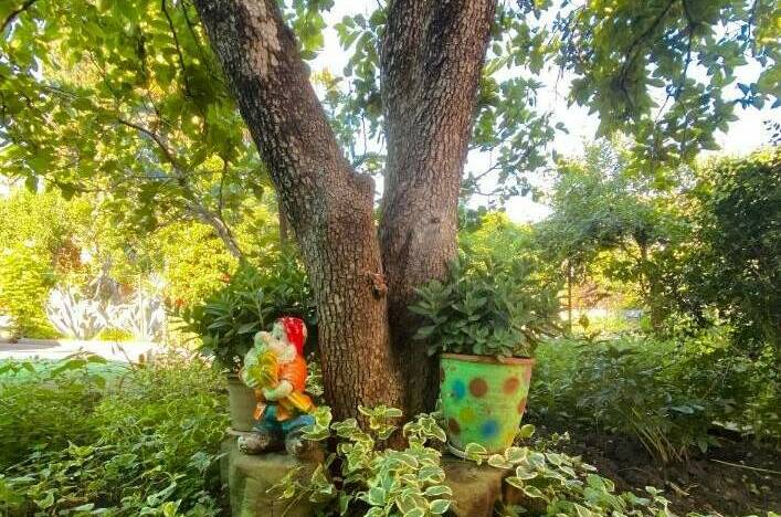 Изображение Изображение отеля / гостиницы "Гостевой дом «Дельфинчик»" #10 #8