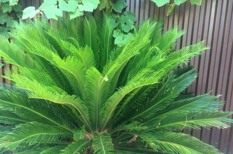 Изображение Изображение квартиры "Двухэтажный дом" #5 #5