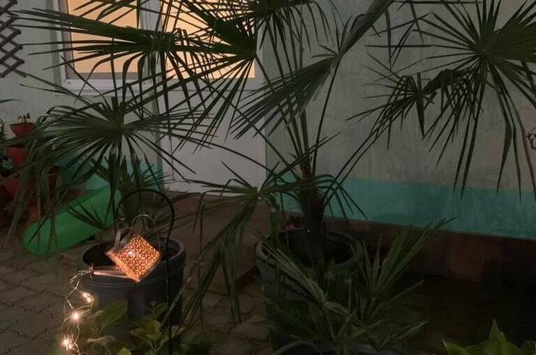 Изображение Изображение гостиницы "Гостевой дом «Лиана»" #5 #5