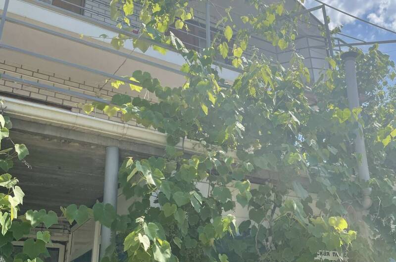 Изображение Изображение гостиницы &quot;Гостевой дом «Виктория Плюс»&quot; #8 #8