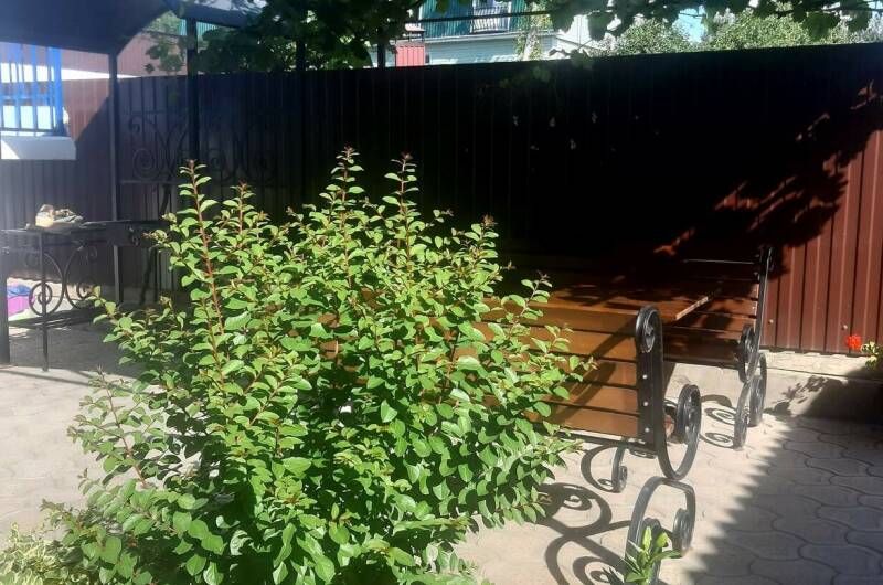 Изображение Изображение гостиницы "Гостевой дом «Отдых у Марии»" #3 #3