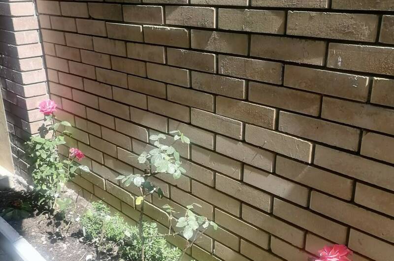 Изображение Изображение гостиницы &quot;Гостевой дом «Амидея»&quot; #6 #6