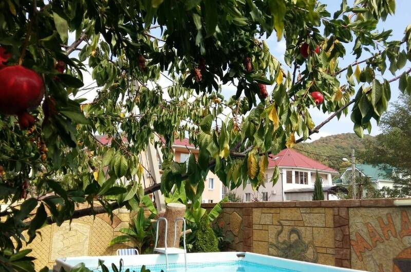 Изображение Изображение отеля / гостиницы "Гостевой дом «Mандарин»" #11 #9