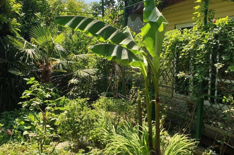 Изображение Изображение гостиницы &quot;Гостевой дом «Мирный»&quot; #2 #2