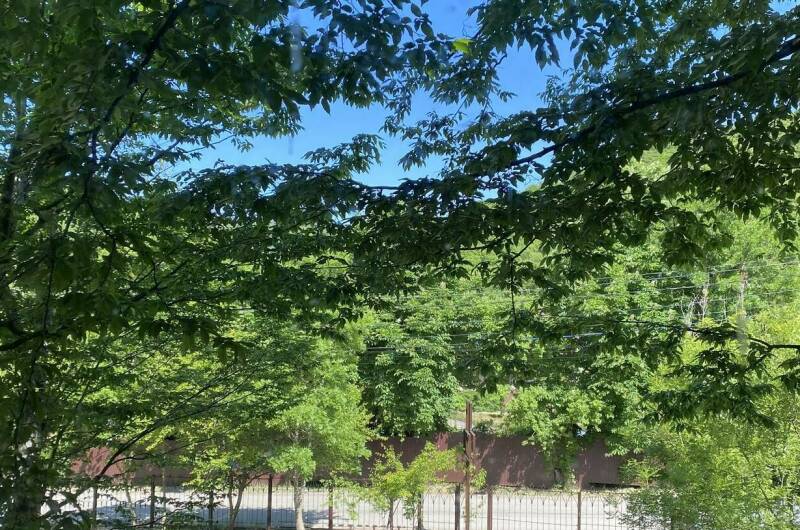 Изображение Изображение отеля / гостиницы "База отдыха «Затерянный Рай»" #10 #8