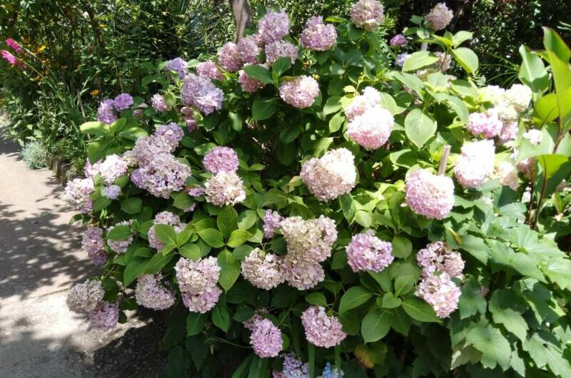 Изображение Изображение отеля / гостиницы "Частный сектор «Толемита»" #3 #3