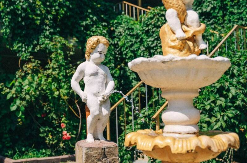 Изображение Изображение гостиницы &quot;Гостевой дом «Lion» /Лайн&quot; #2 #2