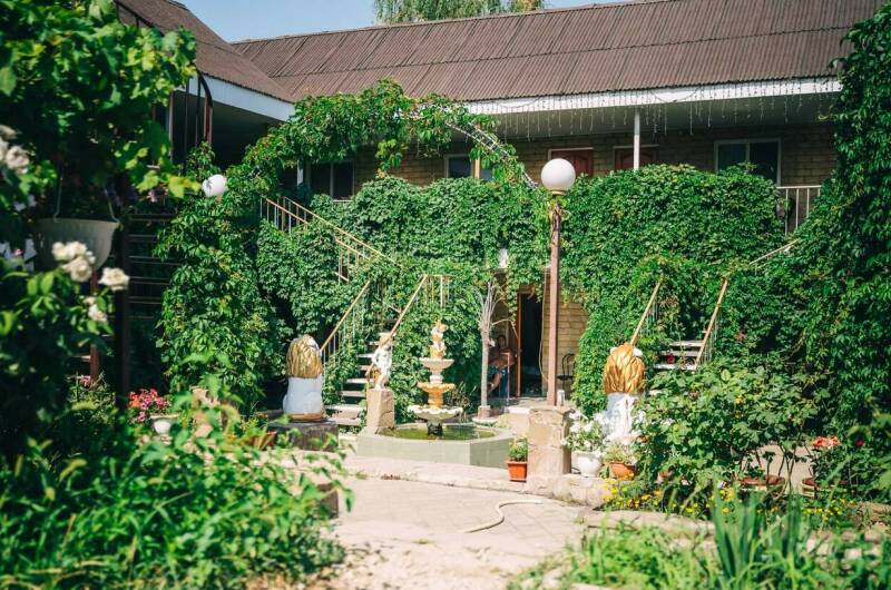 Изображение Изображение отеля / гостиницы "Гостевой дом «Lion» /Лайн" #10 #8