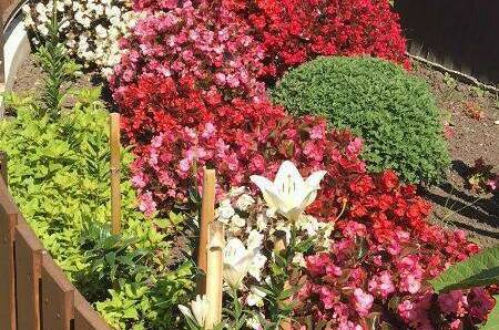 Изображение Изображение гостиницы &quot;Частный сектор «Марина»&quot; #5 #5