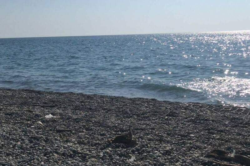 Изображение Изображение гостиницы &quot;Частный сектор «Марина»&quot; #6 #6