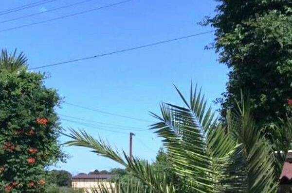 Изображение Изображение отеля / гостиницы "Частный сектор «Марина»" #10 #8