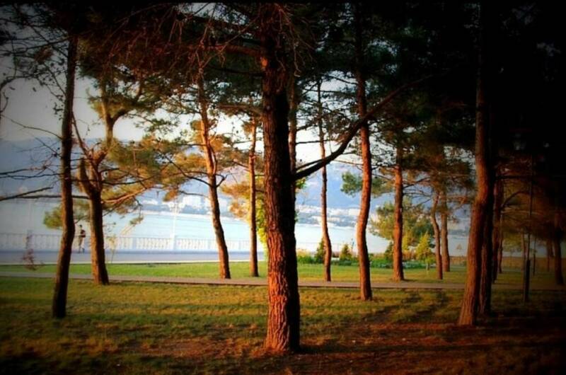 Изображение Изображение квартиры / апартамента "Двухкомнатная квартира с видом на море" #11 #9