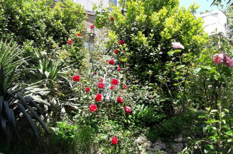 Изображение Изображение гостиницы &quot;Гостевой дом «Марьяна»&quot; #7 #7