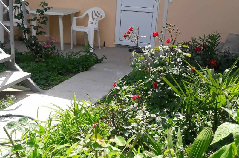 Изображение Изображение гостевого дома "Частный дом «Марьяна»" #11 #9