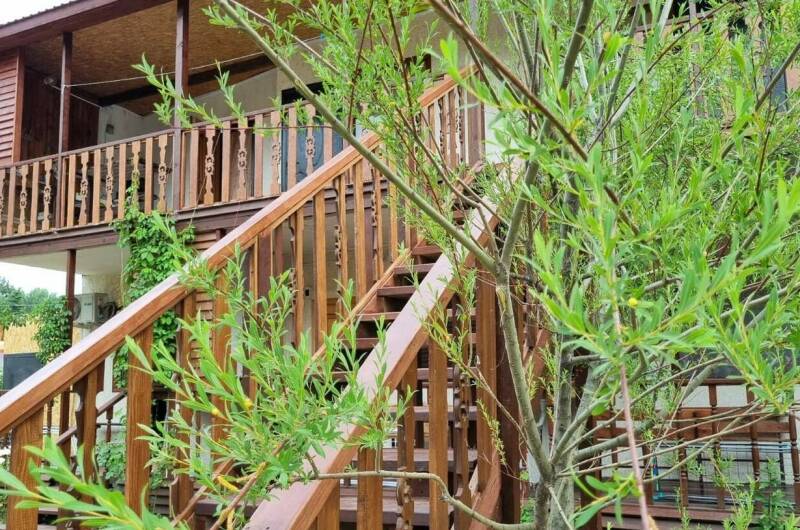 Изображение Изображение гостиницы "База отдыха «Надежда»" #7 #7