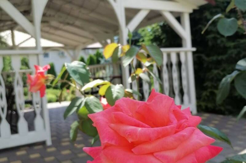 Изображение Изображение гостиницы "Гостевой дом «Диана»" #4 #4