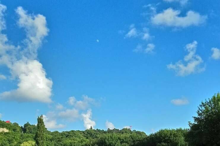 Изображение Изображение гостиницы "Гостевой дом «Диана»" #6 #6